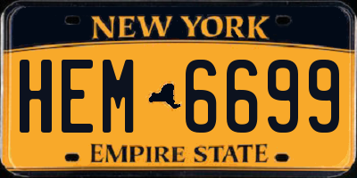 NY license plate HEM6699