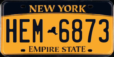 NY license plate HEM6873