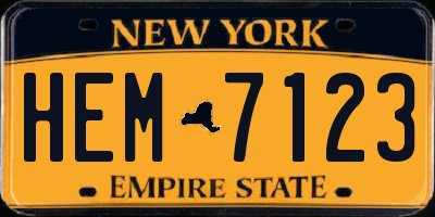 NY license plate HEM7123
