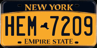 NY license plate HEM7209
