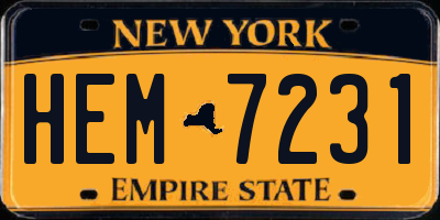 NY license plate HEM7231