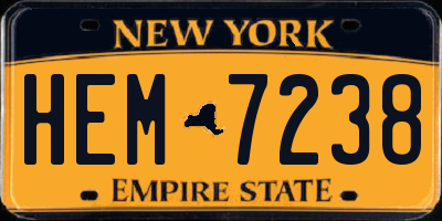 NY license plate HEM7238