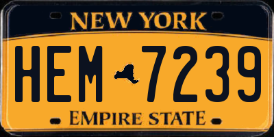 NY license plate HEM7239