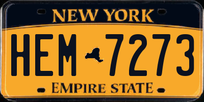 NY license plate HEM7273