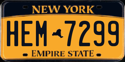 NY license plate HEM7299