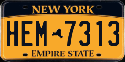 NY license plate HEM7313