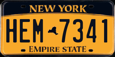 NY license plate HEM7341