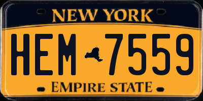 NY license plate HEM7559