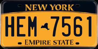 NY license plate HEM7561