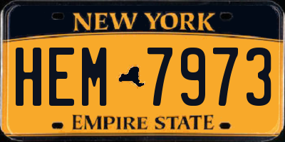 NY license plate HEM7973