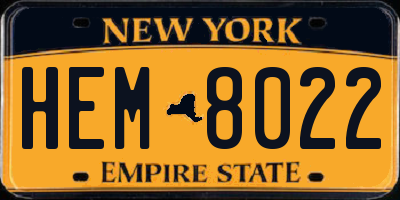 NY license plate HEM8022