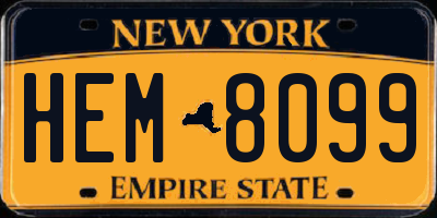 NY license plate HEM8099
