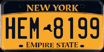 NY license plate HEM8199