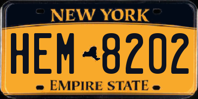 NY license plate HEM8202