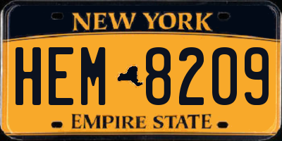 NY license plate HEM8209