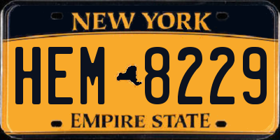 NY license plate HEM8229