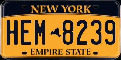 NY license plate HEM8239
