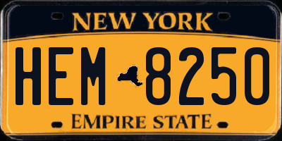 NY license plate HEM8250