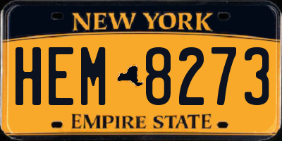 NY license plate HEM8273