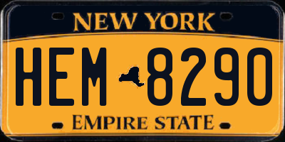 NY license plate HEM8290