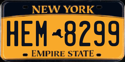 NY license plate HEM8299