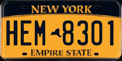 NY license plate HEM8301