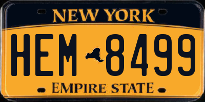 NY license plate HEM8499