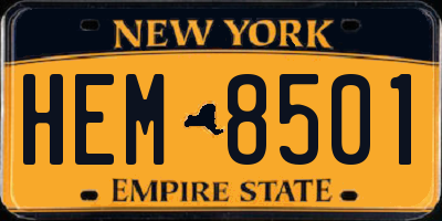 NY license plate HEM8501