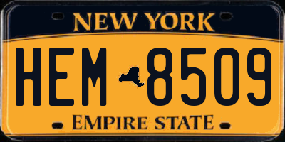 NY license plate HEM8509