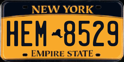NY license plate HEM8529