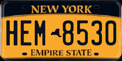 NY license plate HEM8530