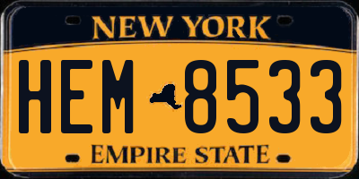 NY license plate HEM8533