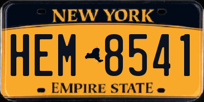 NY license plate HEM8541
