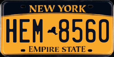 NY license plate HEM8560