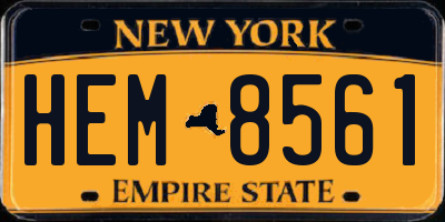 NY license plate HEM8561