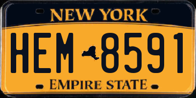 NY license plate HEM8591