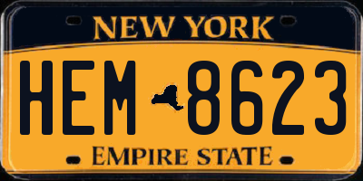 NY license plate HEM8623