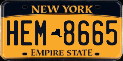 NY license plate HEM8665