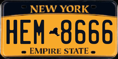 NY license plate HEM8666