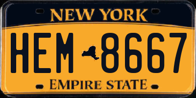 NY license plate HEM8667