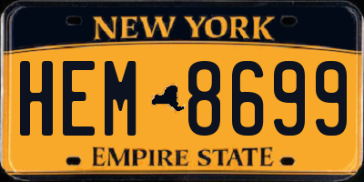 NY license plate HEM8699