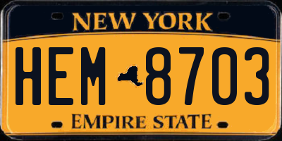 NY license plate HEM8703
