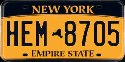 NY license plate HEM8705
