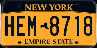 NY license plate HEM8718