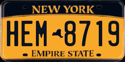NY license plate HEM8719