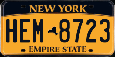 NY license plate HEM8723