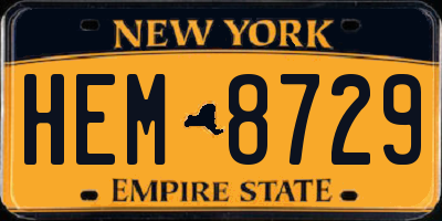 NY license plate HEM8729