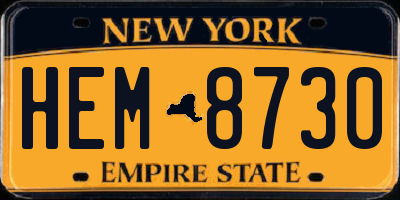 NY license plate HEM8730