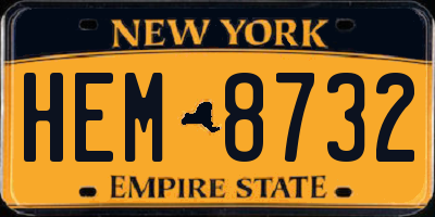 NY license plate HEM8732