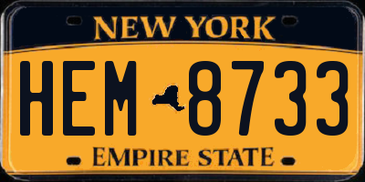 NY license plate HEM8733